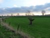 grotefoto-ptbfjnkb